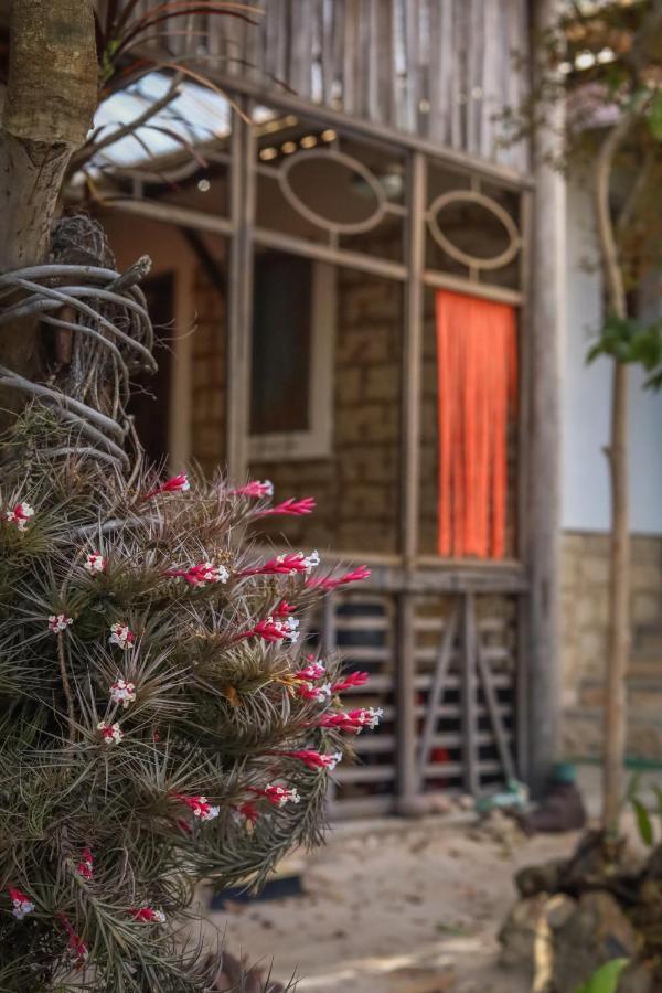 Donana Hostel De GuineGuine de Baixo エクステリア 写真